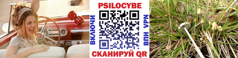 Псилоцибиновые грибы Magic Shrooms  Кирс 
