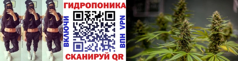 МАРИХУАНА SATIVA & INDICA  Кирс 